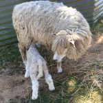 Timmy_IMG_0912