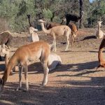 FF_Banner_IMG_9041